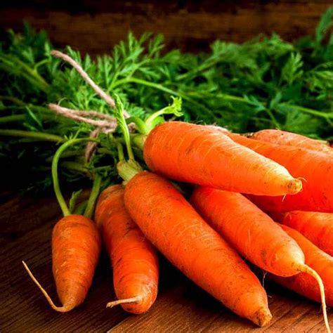 Buy Carrot Early Nantus Desi Vegetable Seeds Online From Nurserylive