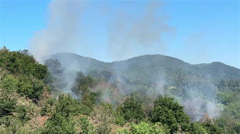 Nonstopnews Zwei Hektar Waldst Ck Und Wiese Bei Gaggenau Stehen In