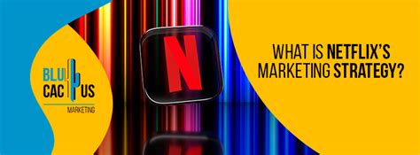 What Is Netflix S Marketing Strategy BluCactus India