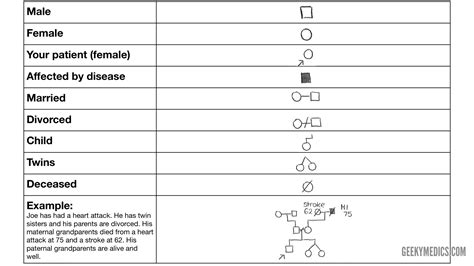 Family Tree Symbols