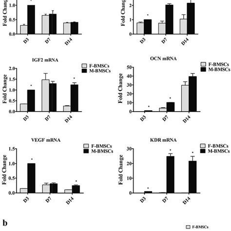 A The Osteogenic And Angiogenic Gene Expression Analysis Osteogenic