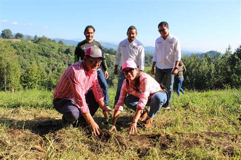 Participa CGE en Jornada Estatal de Reforestación