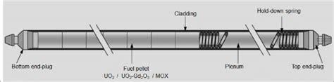 PWR fuel rod design, AFA-2G type (Areva). Source: (Strasser, 2005 ...