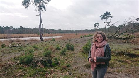 Hoe Cre Er Je Meer Rust Zorg Je Voor Minder Stress In Je Lijf En Een