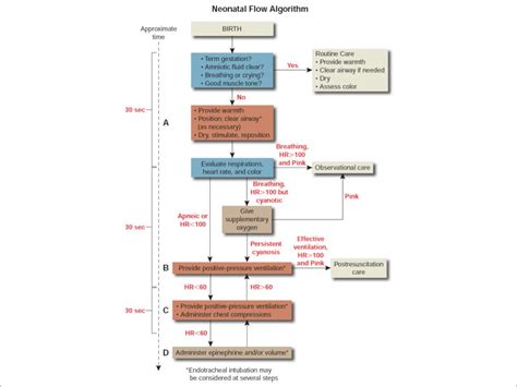 Aha Neonatal Resuscitation