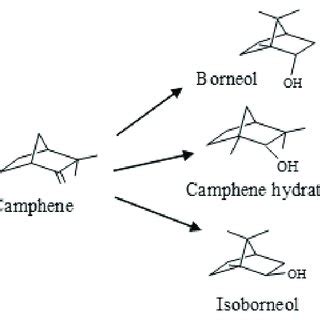 Scheme of camphene hydration. | Download Scientific Diagram