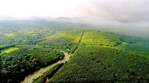 Kerala Assembly Govt To Complete Sabarimala Airport Project In Time