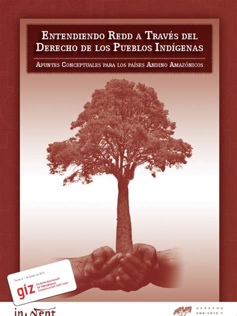 PDF Entendiendo REDD a través del derecho de los Pueblos Indigenas