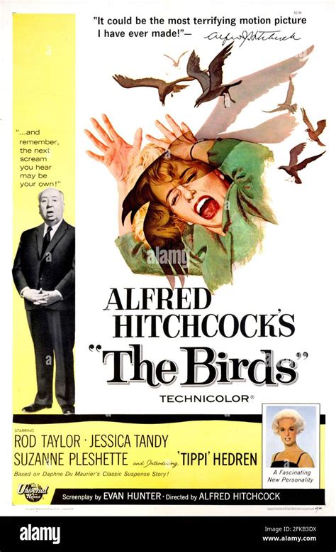 Alfred hitchcock’s 1963 movie the birds hi-res stock photography and ...