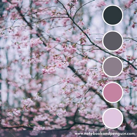 8 Striking Pink And Black Color Palette Ideas: With Hex Codes