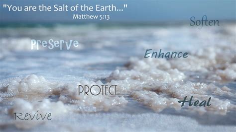 Frkevinestabrook Homily Tuesday 10th Week Of Ot 2016 Salt Of The