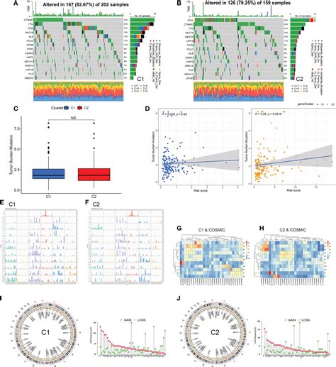 Frontiers Identification Of Copper Metabolism And Cuproptosis Related