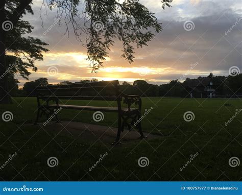 Lonely Bench In The Sunset Stock Image Image Of Outside 100757977