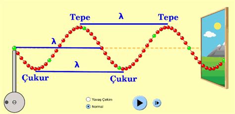 Titreşim Atma Dalga Boyu Periyot Frekans Hız Ve Genlik Nedir