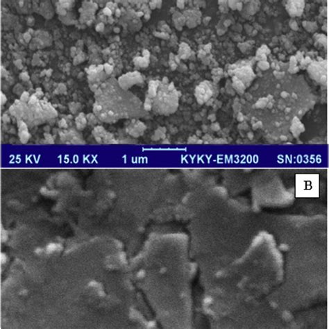 Sem Images Of Fe O Nanoparticles In Carbon Paste A And Bare