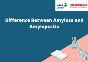 Difference Between Amylose and Amylopectin - Infinity Learn by Sri ...