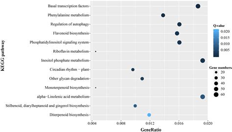 Frontiers Characterization And Development Of Microsatellite Markers