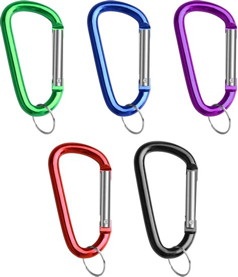 wiwaplex 5 PCS Karabiner D Ring Schlüsselanhänger mit Clip Durable