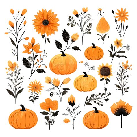 Halloween Floral Pumpkin Isolated Clipart Set Fall Magic Pumpkin Silhouette Thanksgiving Decor