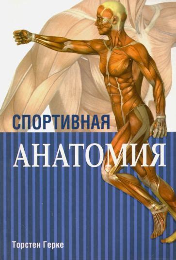 Книга: "Спортивная анатомия" - Торстен Герке. Купить книгу, читать ...