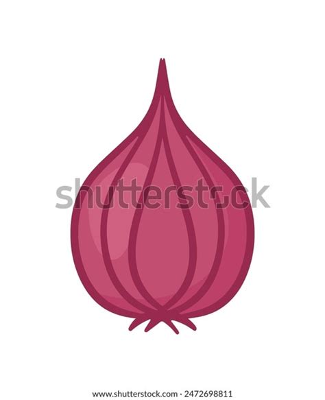 Shallot Red Onion Spice Flavor Vegetable Stock Vector Royalty Free