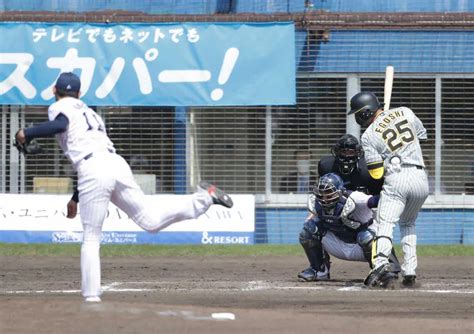 ＜ヤ・神＞3回無死、江越は死球を受ける（投手・奥川）＝撮影・坂田 高浩 ― スポニチ Sponichi Annex 野球