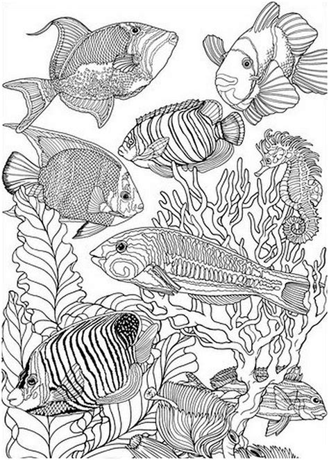 30 pages de coloriage anti stress à imprimer Terrafemina coloriage