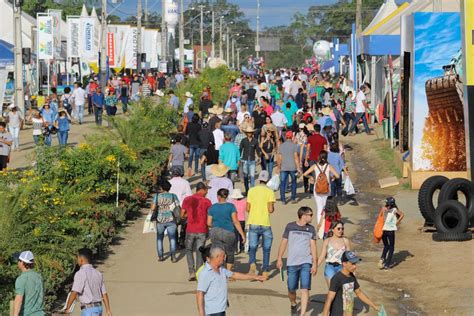 Agricultura Expositores Participam De Reuni O De Alinhamento Para A