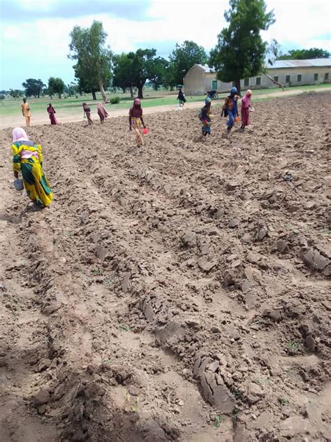 Sasakawa Nigeria On Twitter Regenerativeagriculture Ongoing Pre