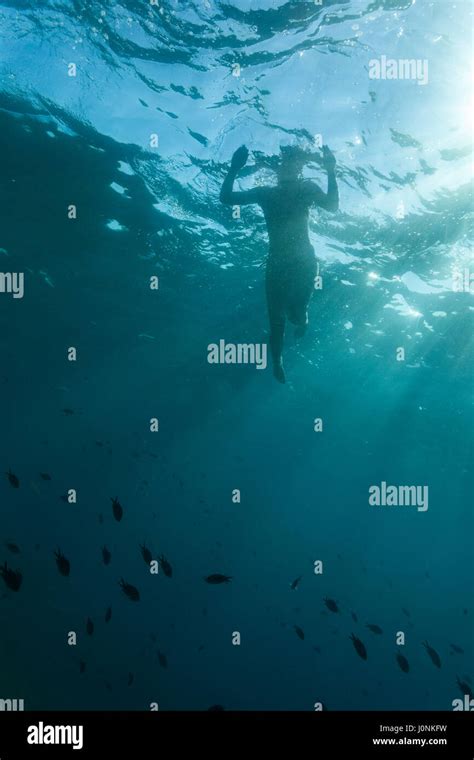 An Underwater View Of The Swimming Girl On Adriatic Sea Near Kamenjak