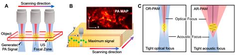 Biomedicines Free Full Text State Of The Art In Carbon