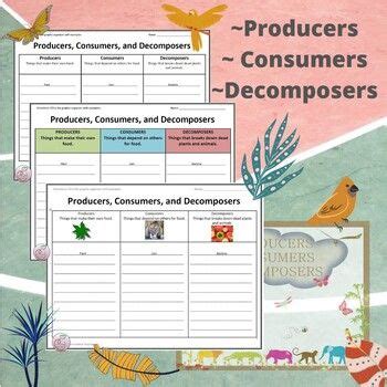 Producers Consumers Decomposers Graphic Organizer Science Resources