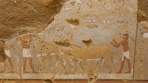 4,300-year-old Egyptian tomb with stunning wall paintings was burial ...