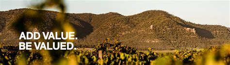 Senior Environmental Health Officer | Singleton Council