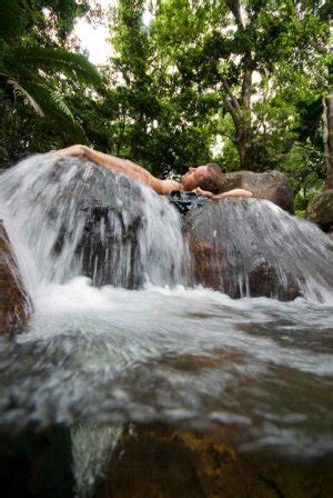 Daintree Rainforest Climate