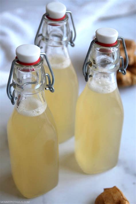 Homemade Ginger Ale Recipe