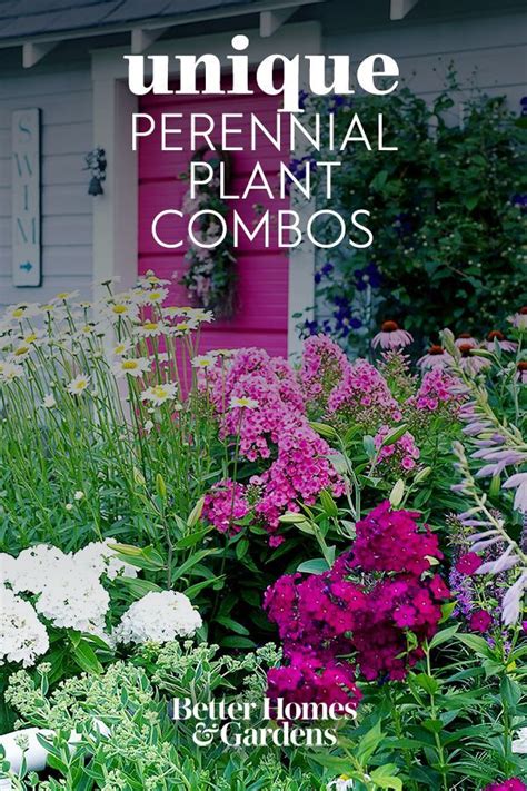 24 Perennial Planting Combinations That Look Stunning Together Artofit