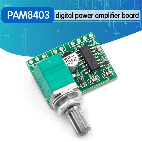 Pam Mini V Digital Amplifier Board