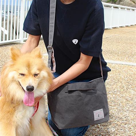 Newカラー登場 愛犬のお散歩に お散歩帆布バッグm 軽い 丈夫 かっこいい お散歩 デロリアンズ Deloreans 穴澤 賢プロデュース