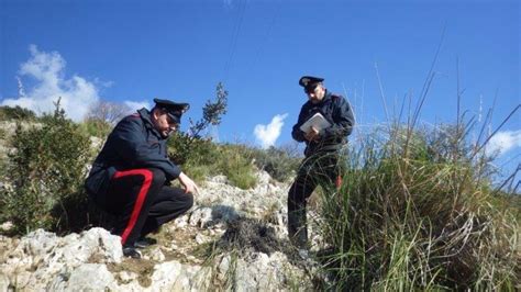 S M C VETERE Carabinieri Forestali Arrestano Presunto Piromane