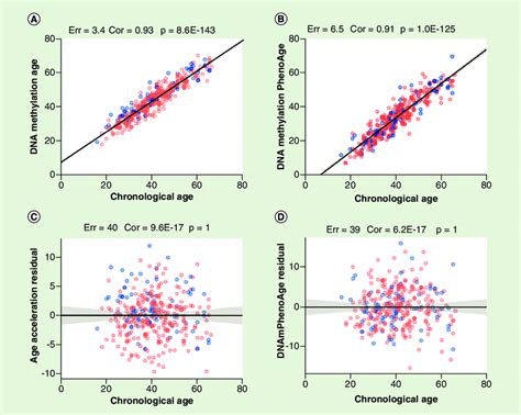 Accuracy Of The Epigenetic Clock Correlation Between The Chronological