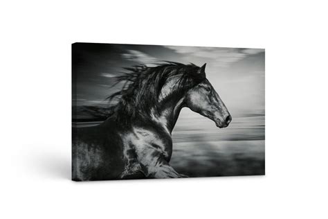 Black and White Horse Canvas Prints Horse Wall Décor Horse - Etsy ...