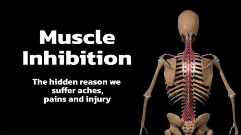 Muscle Inhibition The Hidden Reason We Suffer Aches Pains And Injury