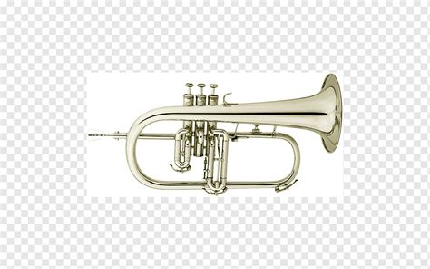 Cornet Flugelhorn Trumpet Saxhorn Mellophone Trumpet Brass Instrument