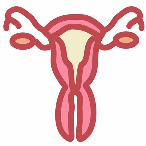 Female Medical Reproductive Uterus Vagina Virgin Icon Download