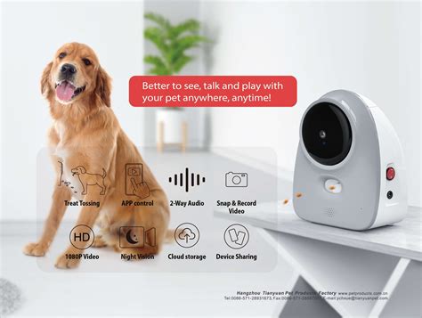 Buy Wholesale China Smart Pet Products Full Hd Wifi Pet Camera Two Way ...