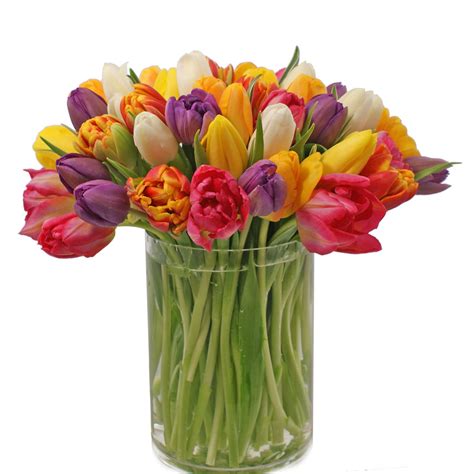 Rainbow Tulips - Ariston Flowers and Boutique