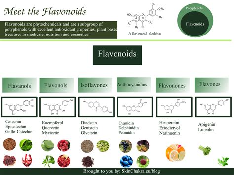 Flavonoids Chocolate Brain At Larry Colunga Blog