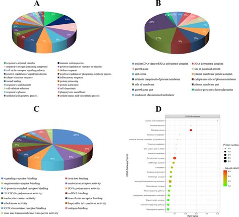 Bioinformatics Analysis Of Deps Pie Chart Depicting Deps Characterized