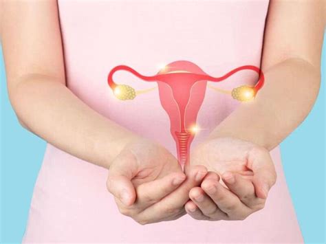 Even When At Low Risk Some Women Should Remove Fallopian Tubes To Avoid Ovarian Cancer Say Experts